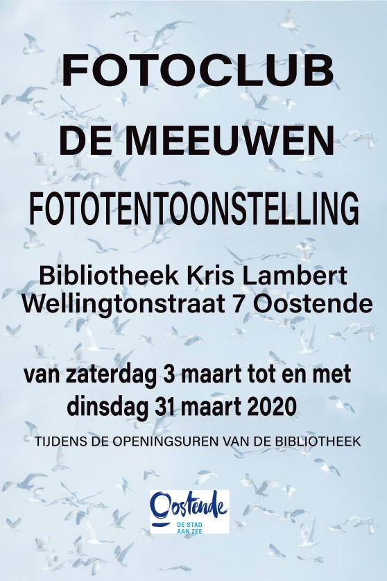 Affiche DE MEEUWEN 2020